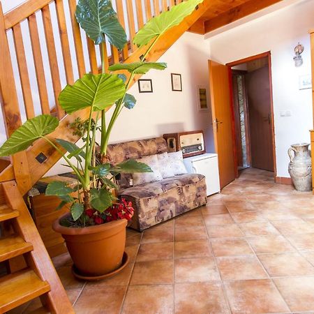 Holiday Home Juricko With Private Sauna Bizeljsko Exterior foto