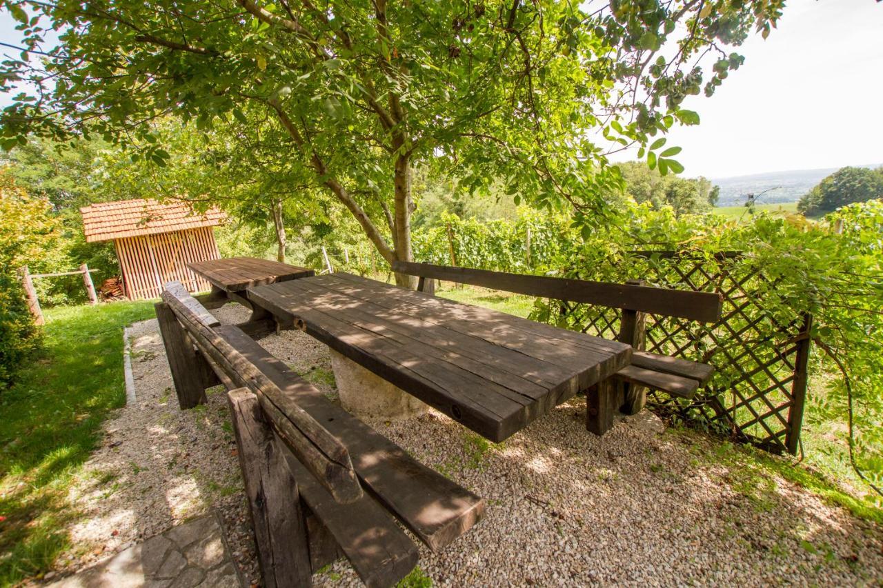 Holiday Home Juricko With Private Sauna Bizeljsko Exterior foto